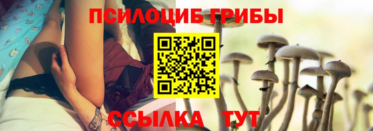 закладки  Вход с VPN  Коркино  Псилоцибиновые грибы мицелий 
